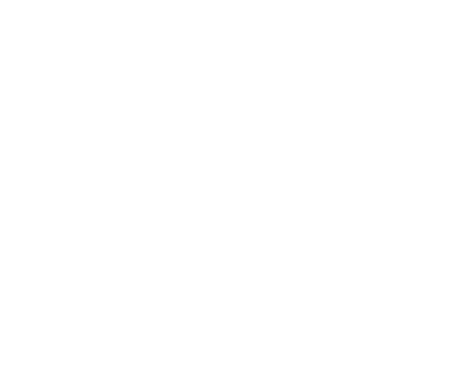 RGA Group